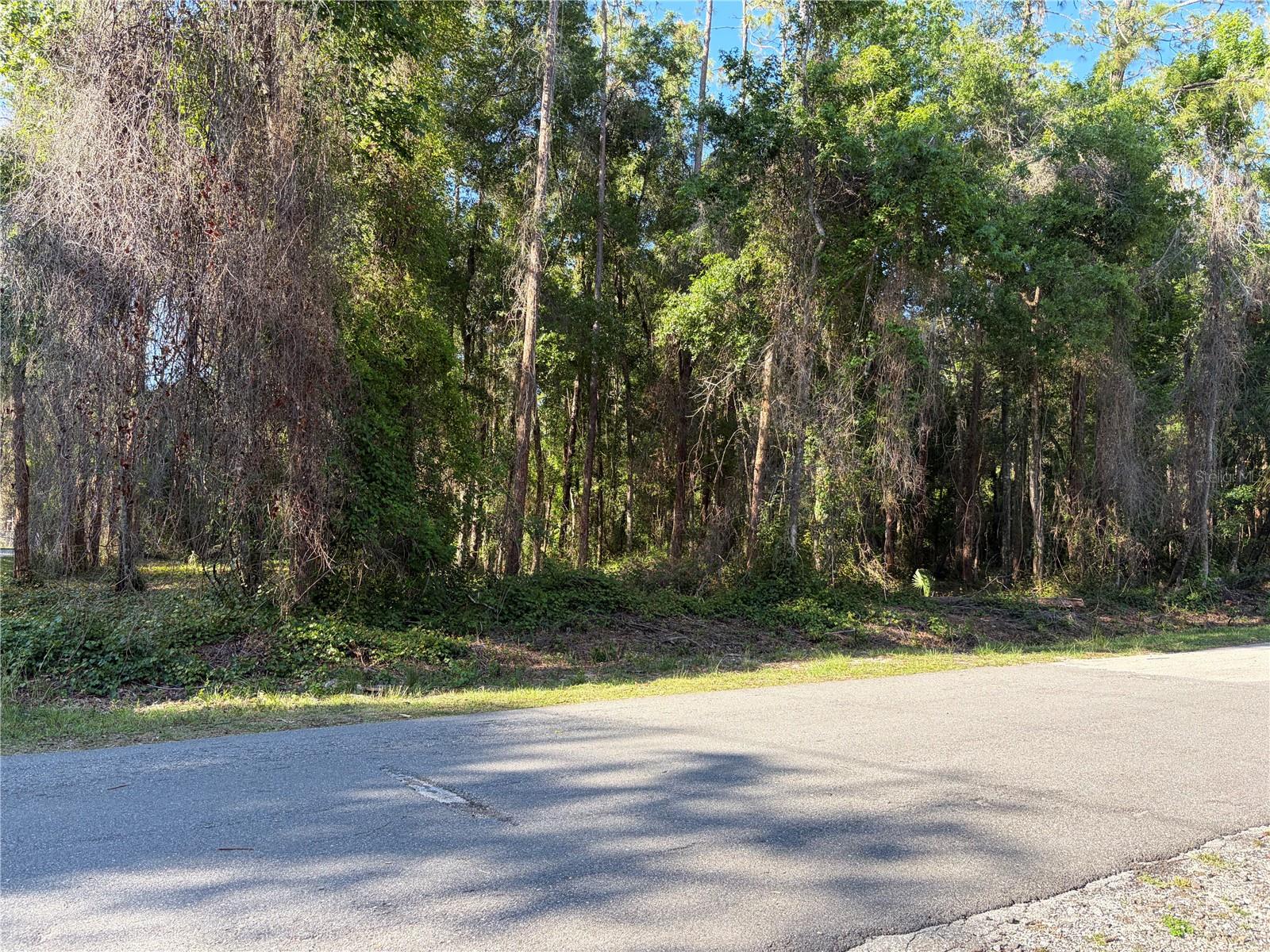 9192 CR 647CS, BUSHNELL, FL, 33513