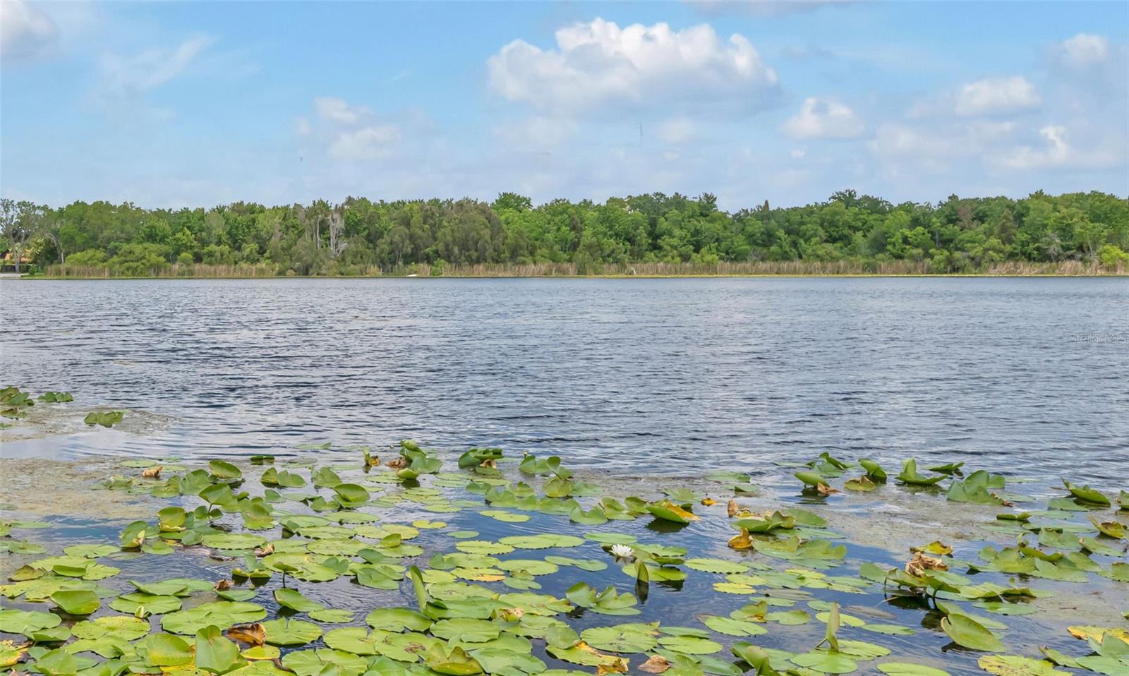 1841 LAKE SPIER DRIVE, WINTER PARK, FL, 32789