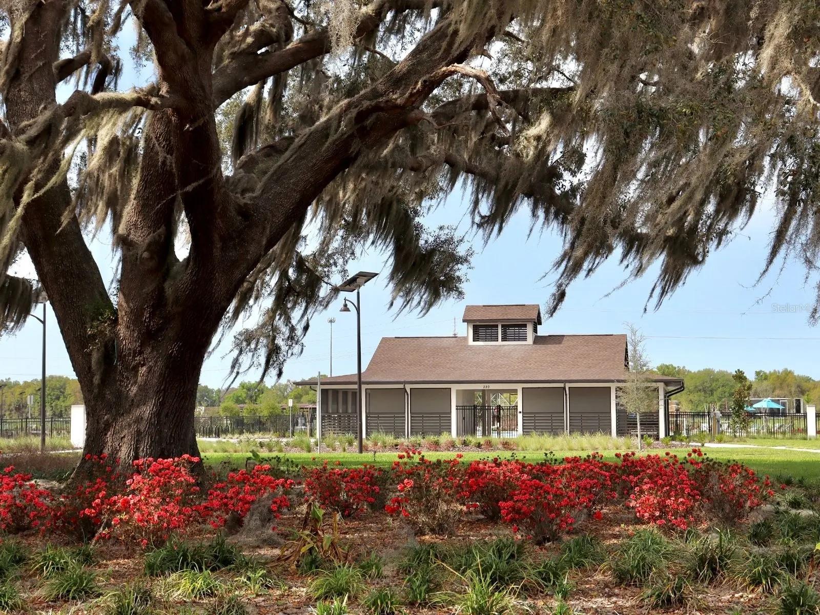 16350 BIRD OF PARADISE AVE, CLERMONT, FL, 34714
