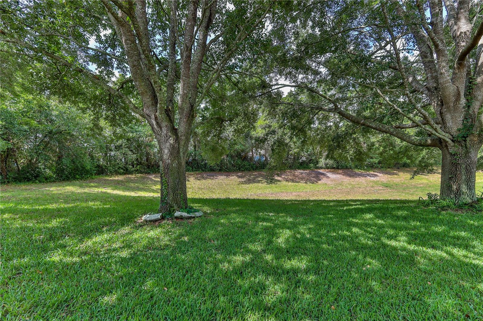 11148 HEATHROW AVE, SPRING HILL, FL, 34609