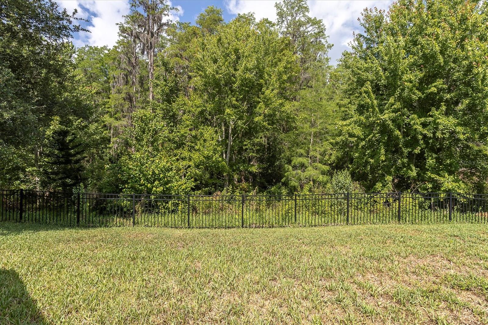 14640 TRAILS EDGE BLVD, ODESSA, FL, 33556