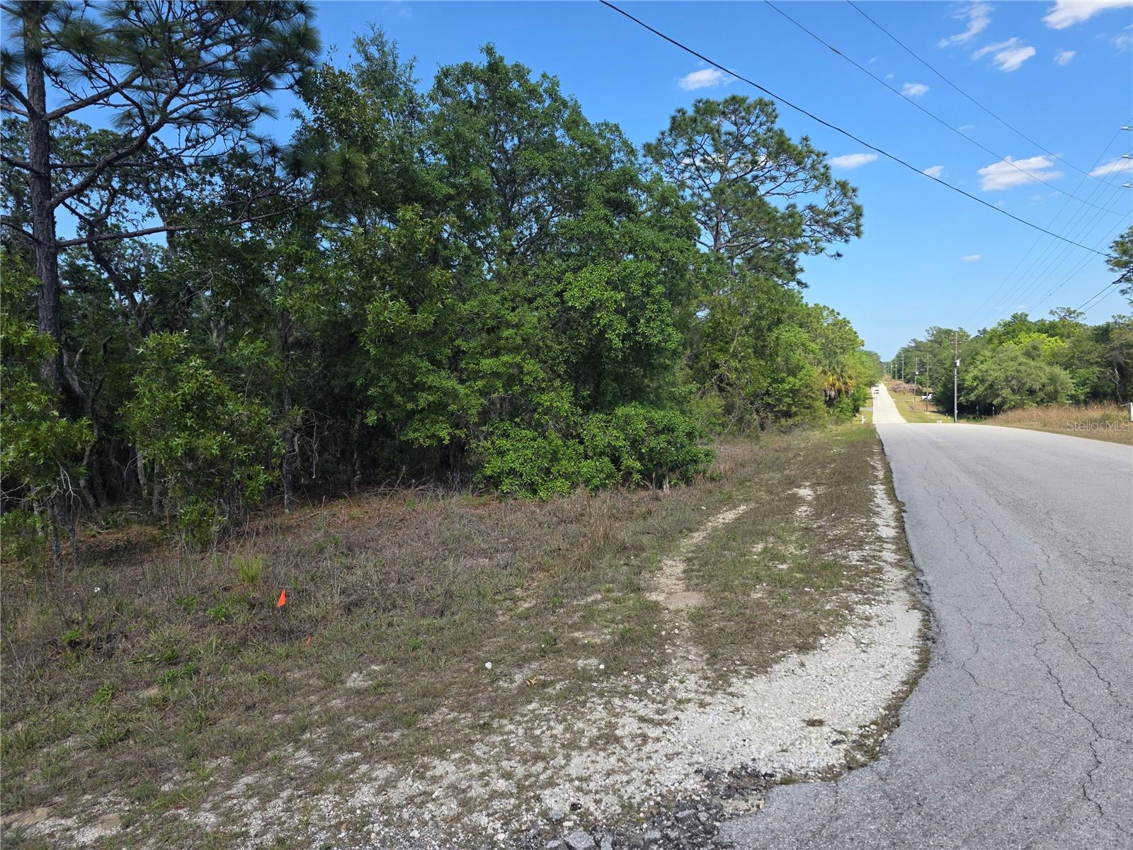 Lot 18 SW WOOD RD, DUNNELLON, FL, 34431