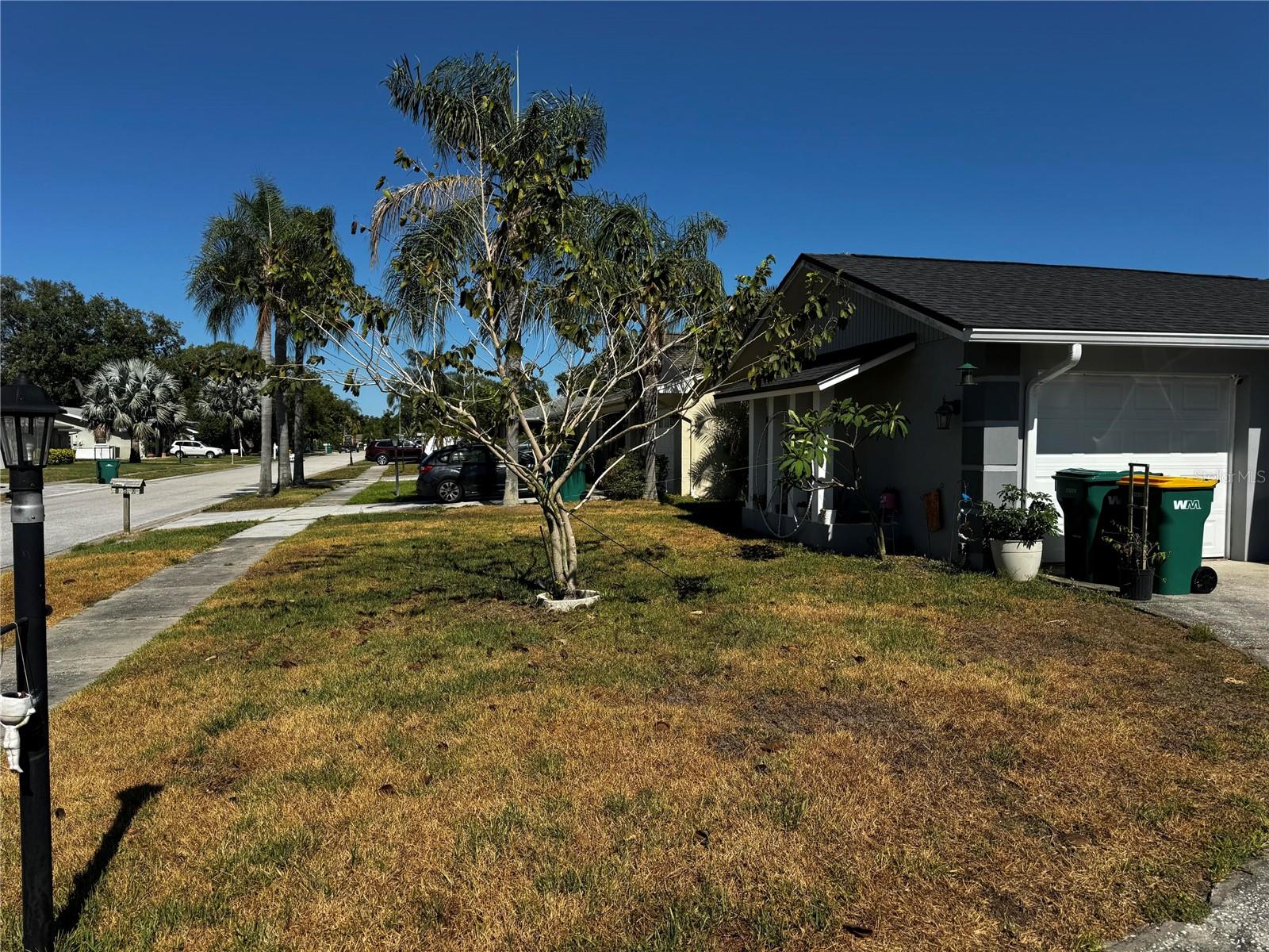 158 SUNSHINE DR, PALM HARBOR, FL, 34684