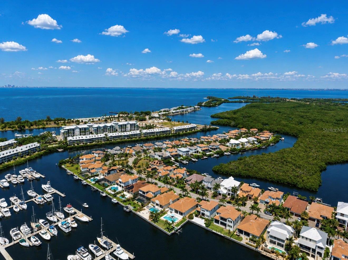 3016 CHRISTOPHERS WATCH LN, RUSKIN, FL, 33570