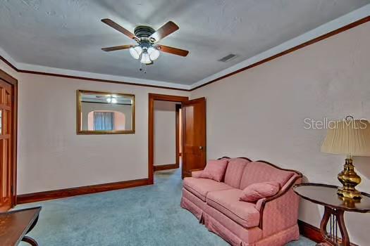 302 NW 19 ST, GAINESVILLE, FL, 32603
