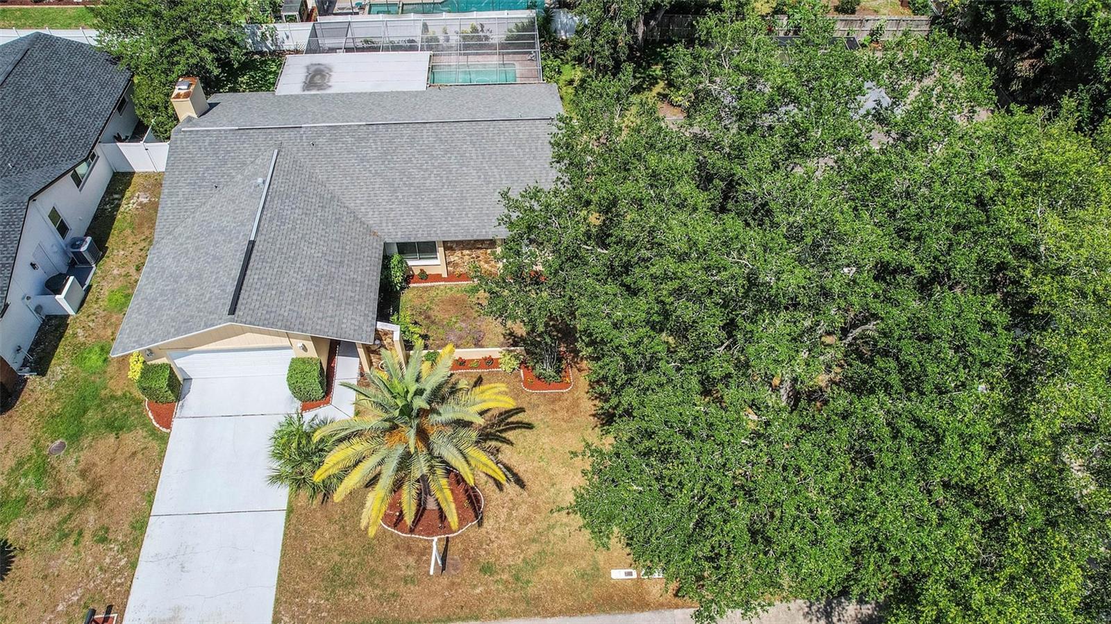 4103 N BAY HILLS BLVD, SAFETY HARBOR, FL, 34695