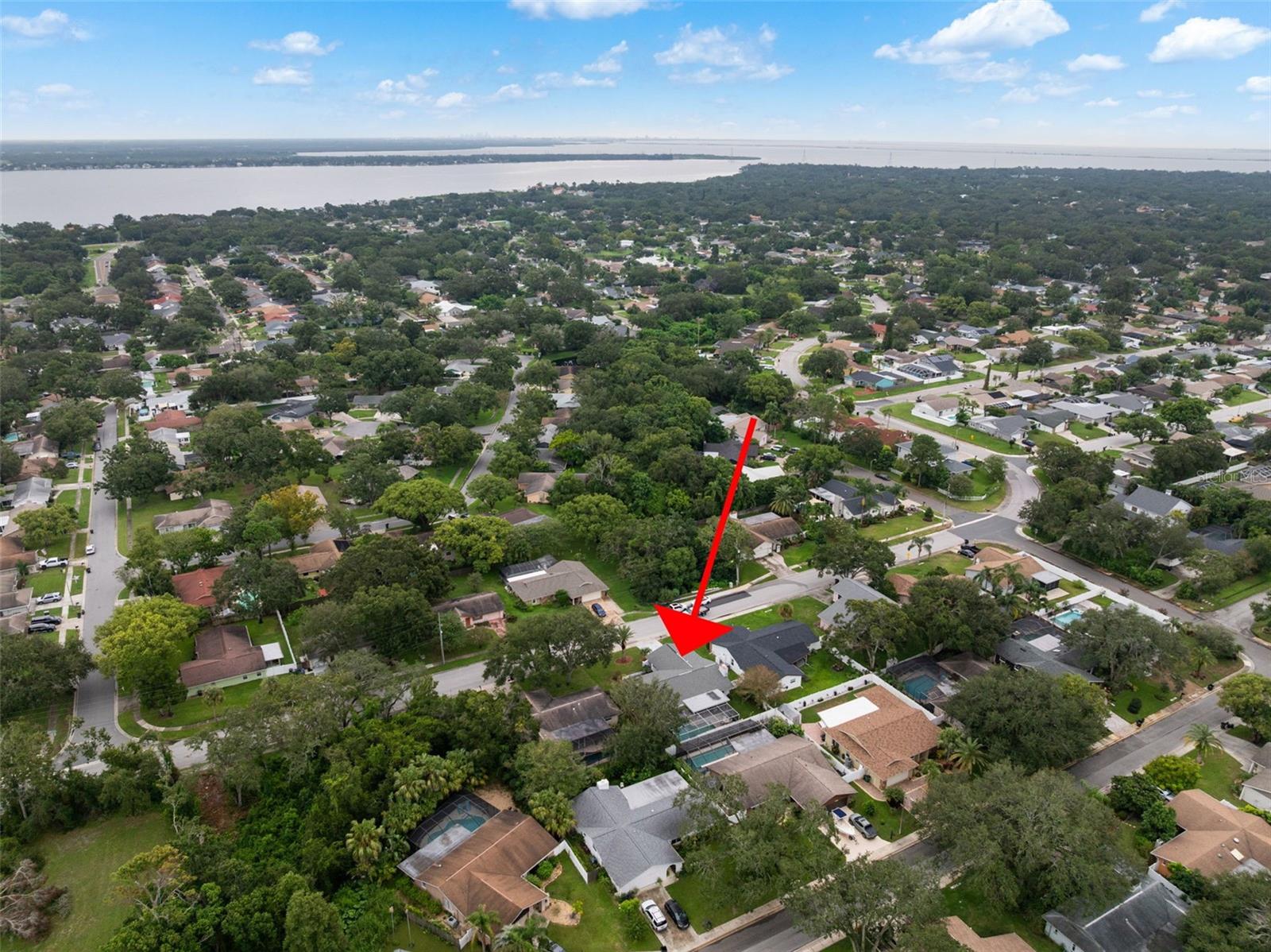 4103 N BAY HILLS BLVD, SAFETY HARBOR, FL, 34695