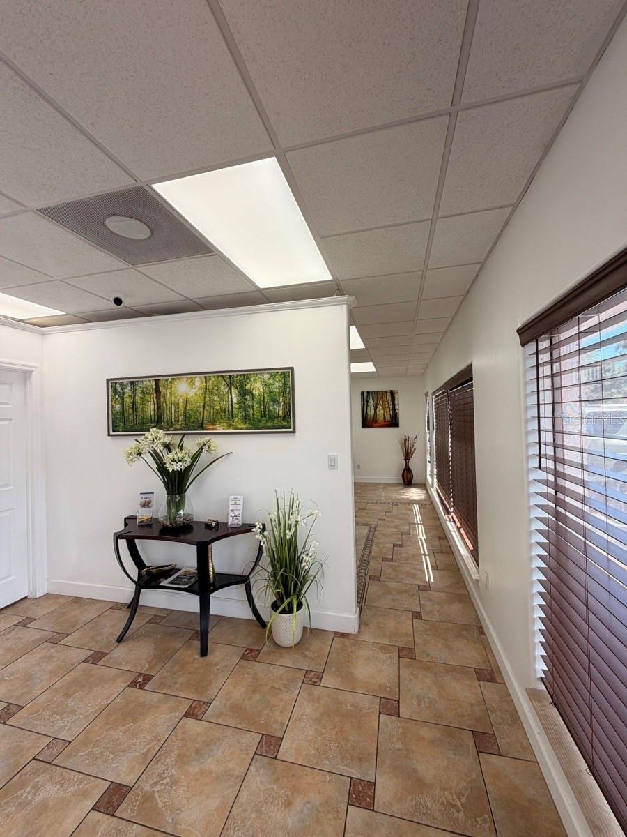 7117 N ARMENIA AVE, TAMPA, FL, 33604