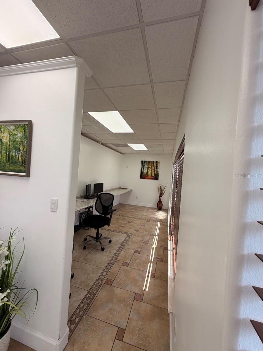 7117 N ARMENIA AVE, TAMPA, FL, 33604