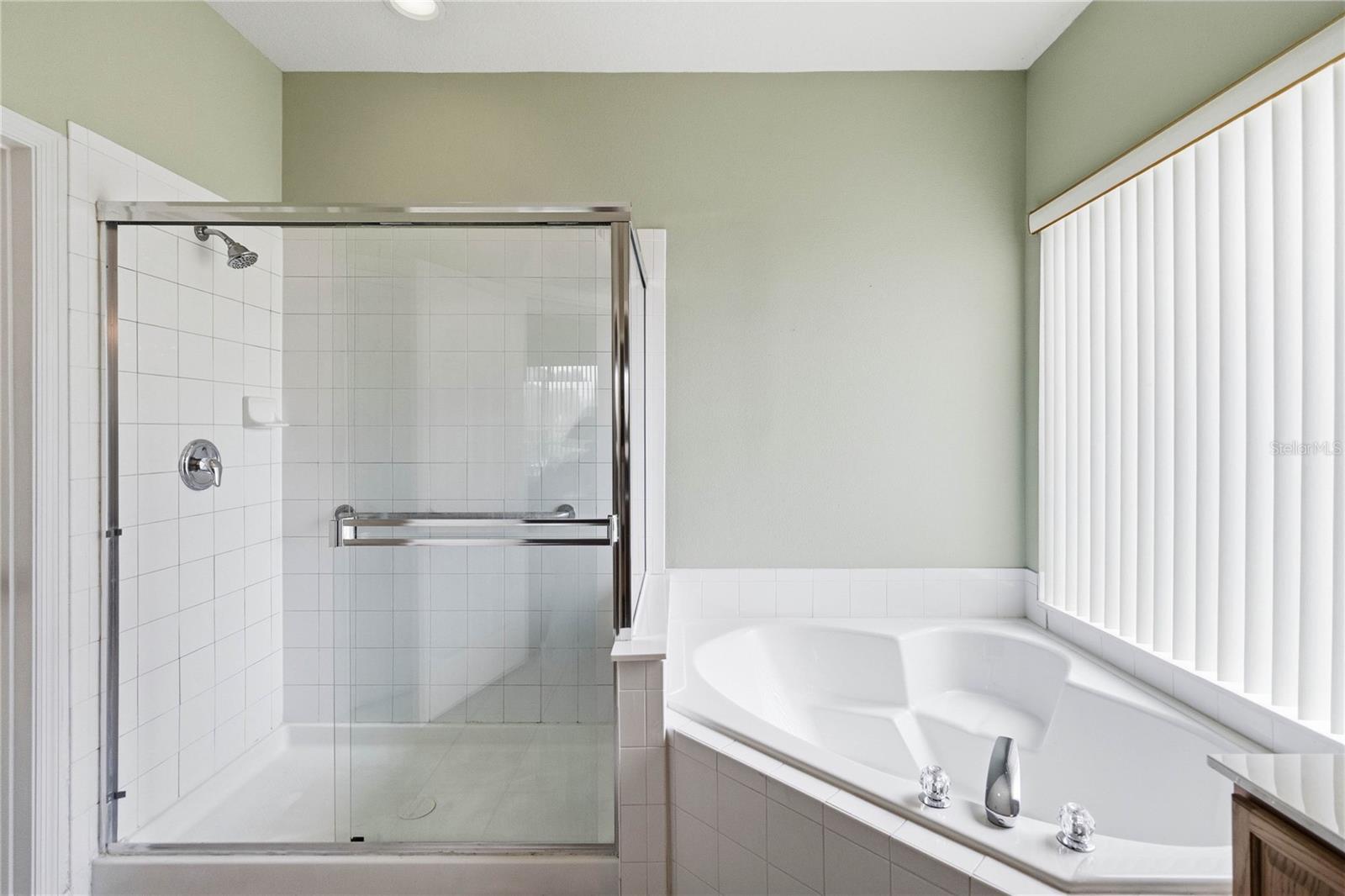 3196 HANGING MOSS CIR, KISSIMMEE, FL, 34741