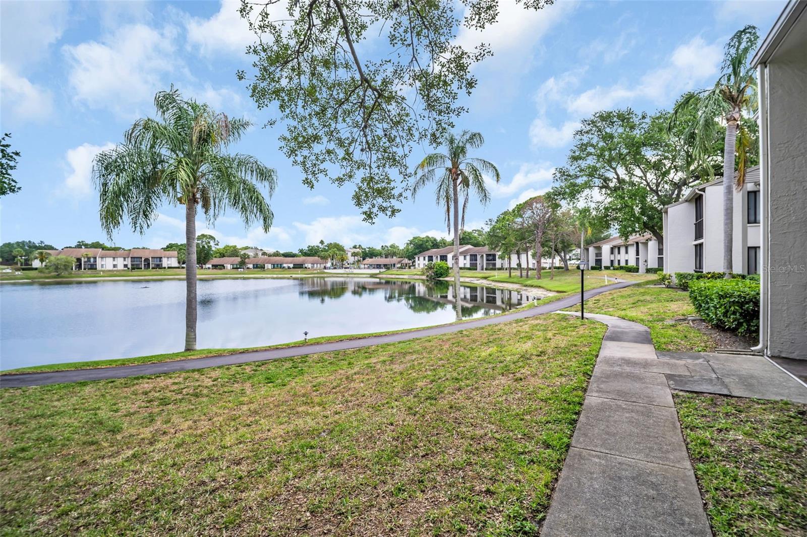 2523 PINE RIDGE WAY S #C2, PALM HARBOR, FL, 34684