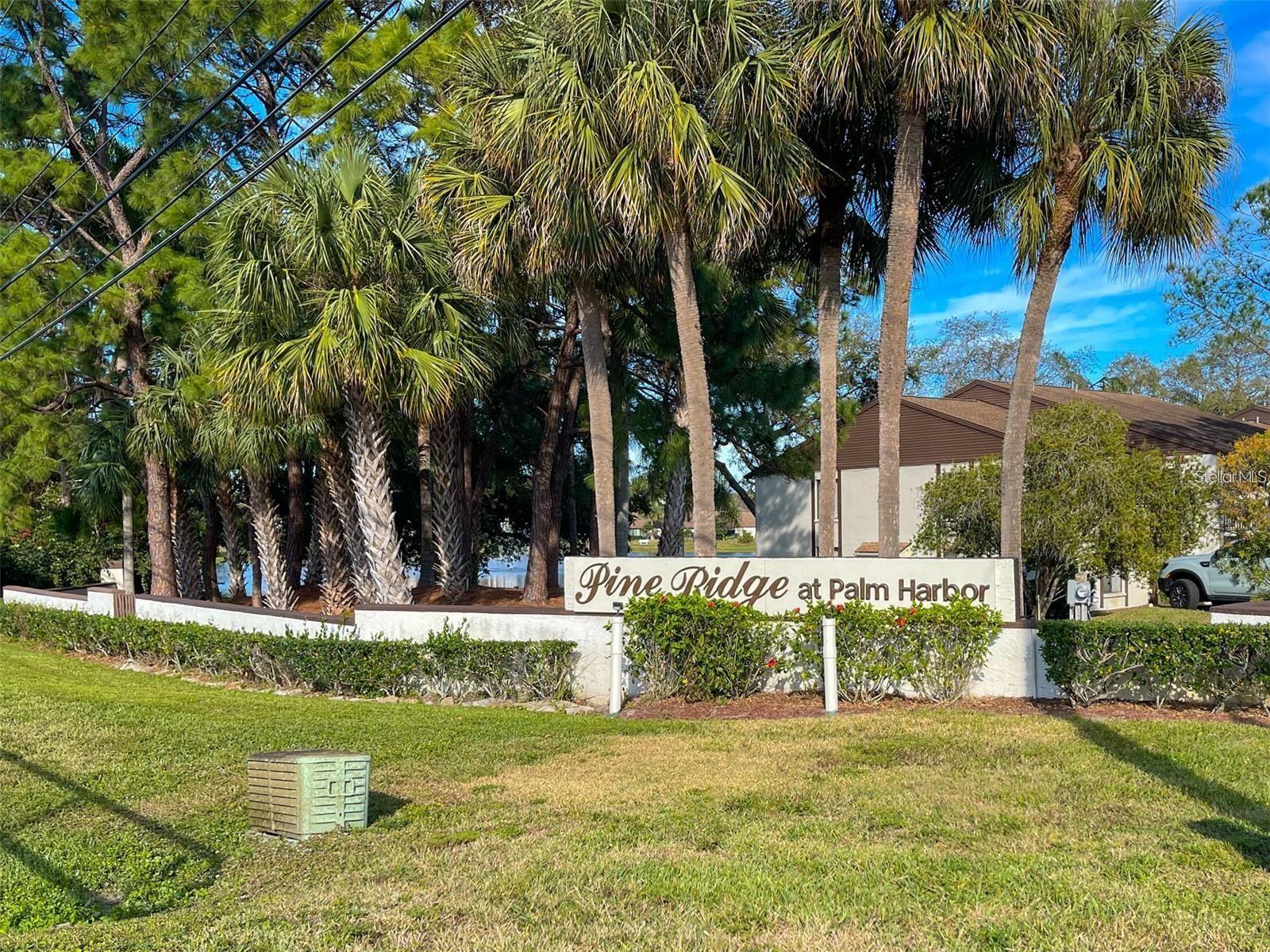 2523 PINE RIDGE WAY S #C2, PALM HARBOR, FL, 34684