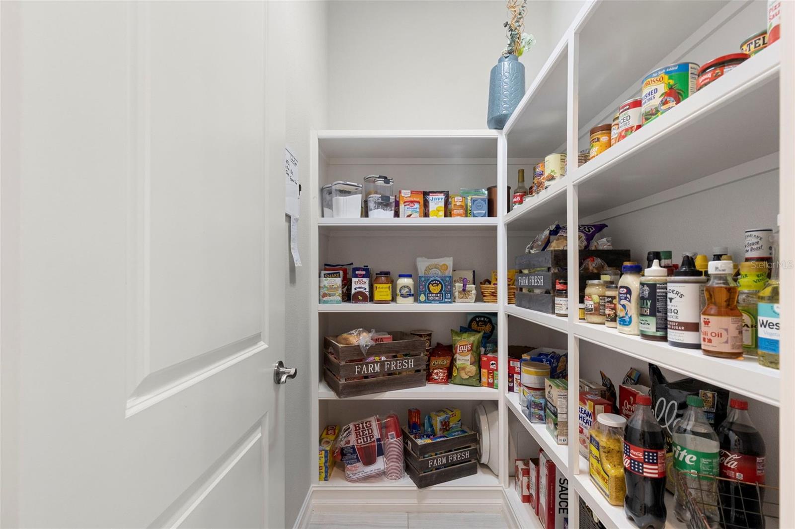 3515 LANDS END WAY, LUTZ, FL, 33548