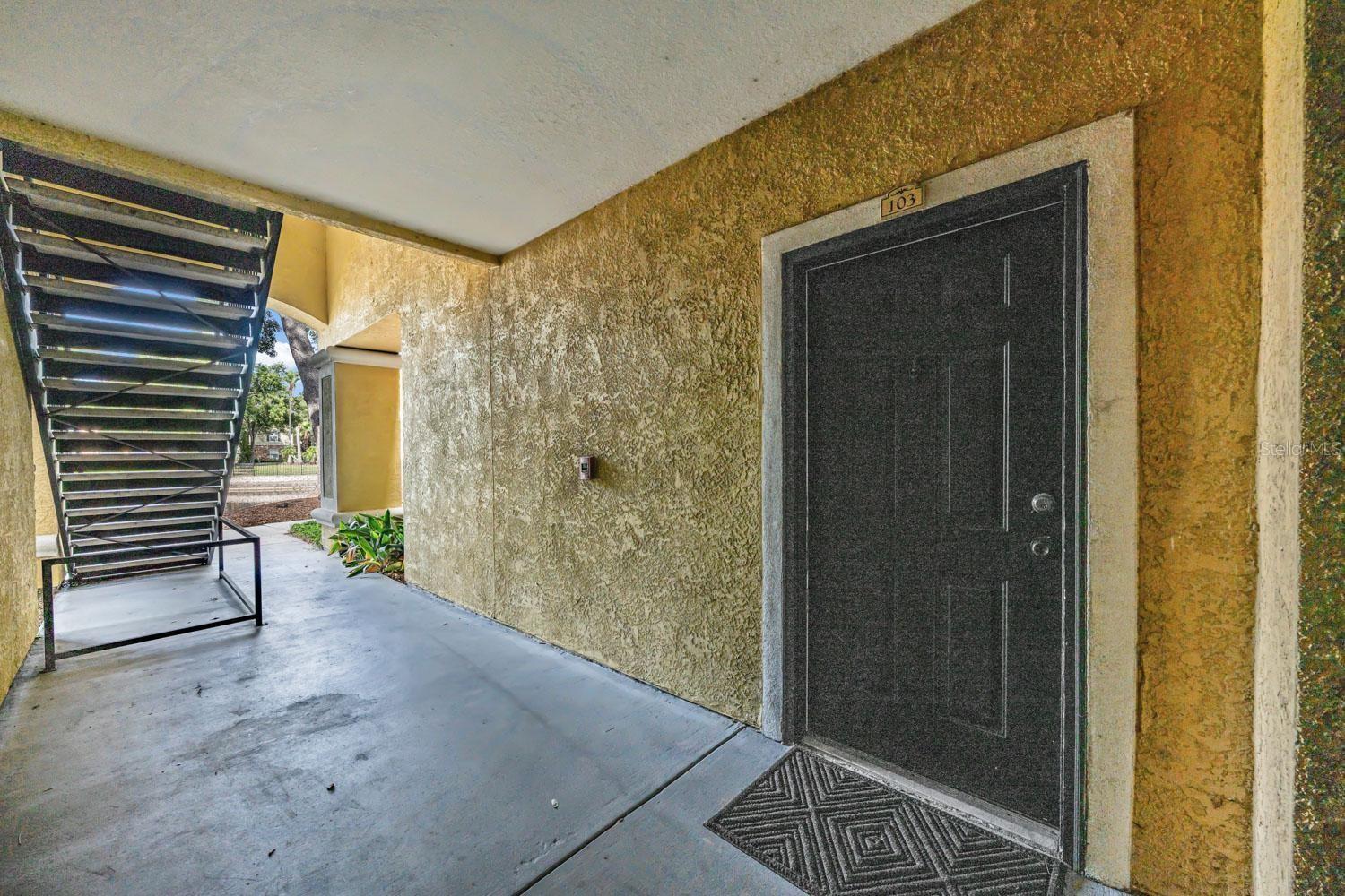10103 COURTNEY OAKS CIR #103, TAMPA, FL, 33619