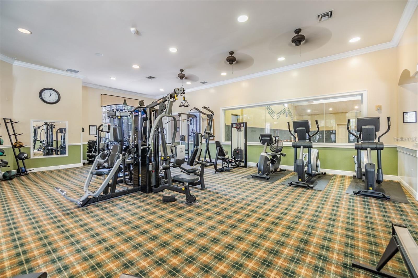 10103 COURTNEY OAKS CIR #103, TAMPA, FL, 33619