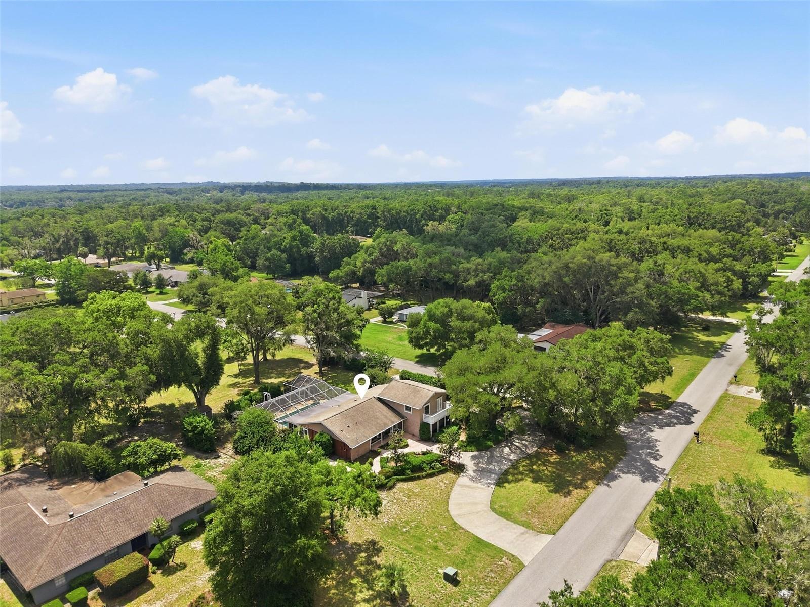 10002 DOMINGO DR, BROOKSVILLE, FL, 34601