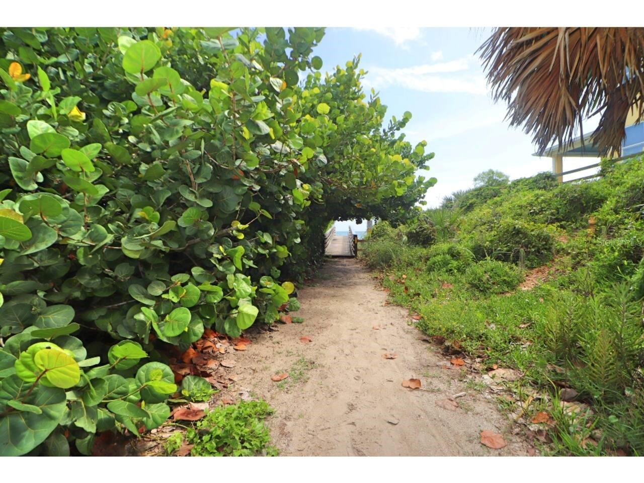 906 E 11TH AVE, NEW SMYRNA BEACH, FL, 32169