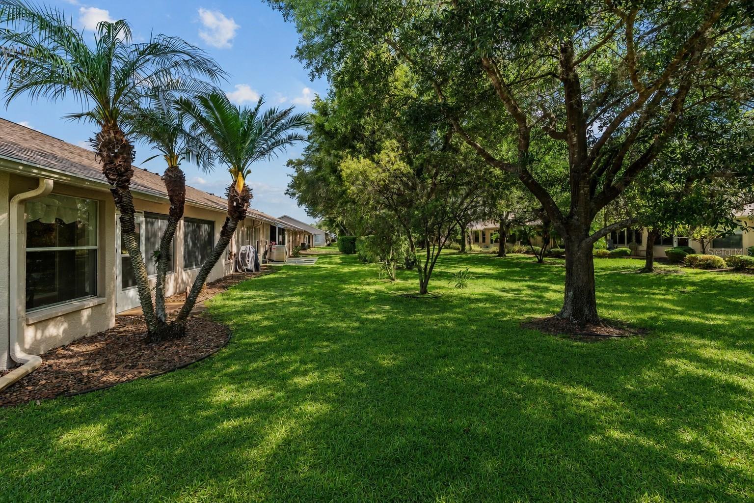 1142 SWEET JASMINE DR, TRINITY, FL, 34655