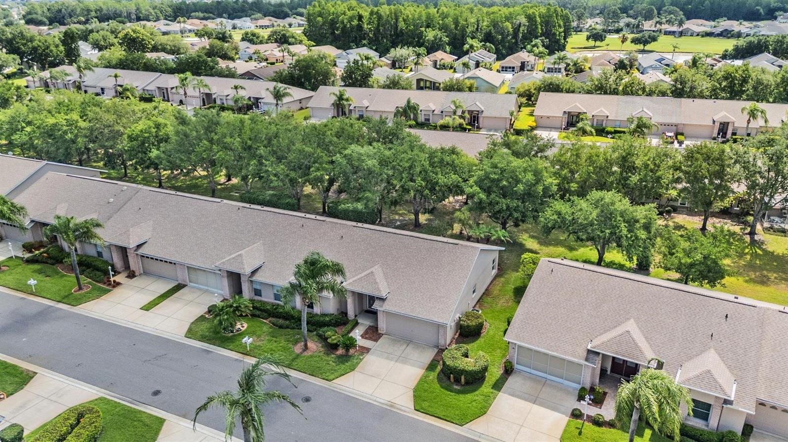 1142 SWEET JASMINE DR, TRINITY, FL, 34655