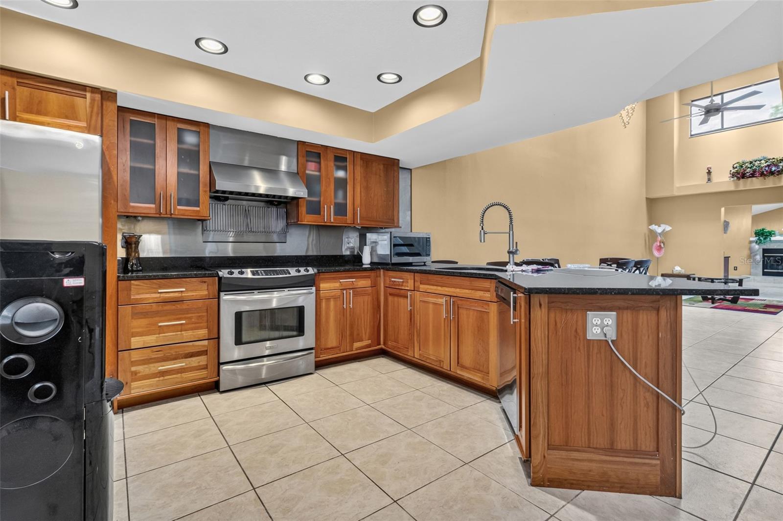 11310 LINARBOR PL, TAMPA, FL, 33617