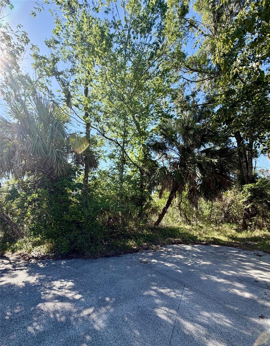 10900 W LARCHWOOD ST, HOMOSASSA, FL, 34448