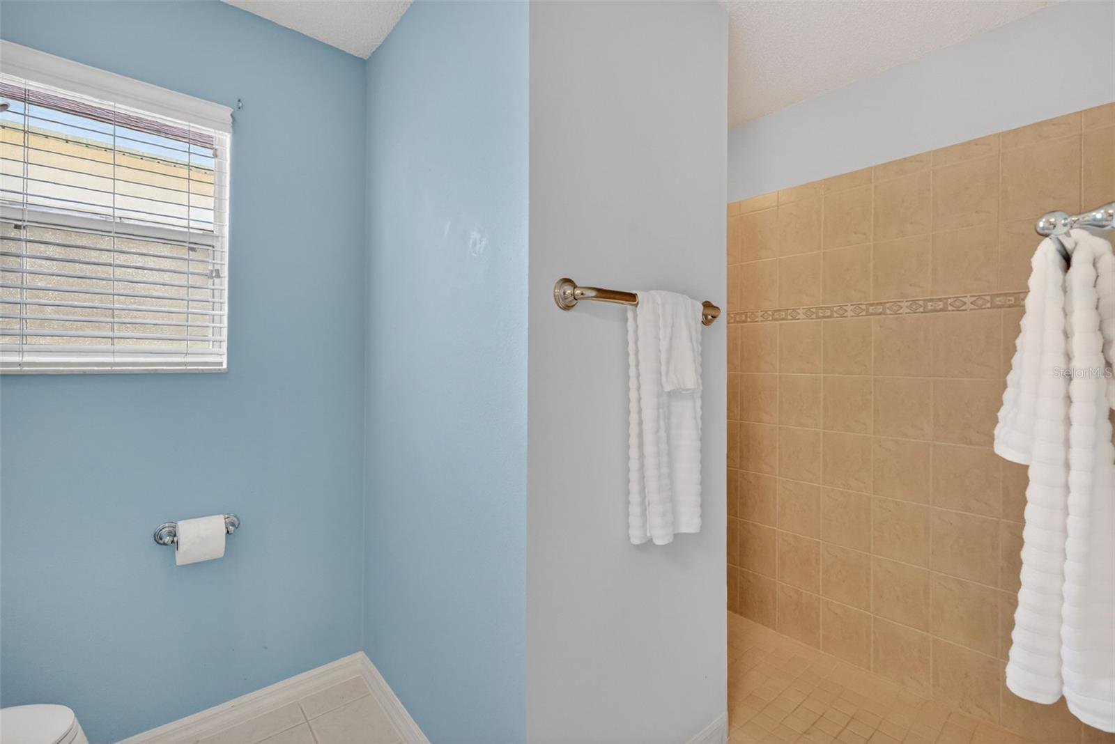 403 MCLEOD LN, THE VILLAGES, FL, 32162