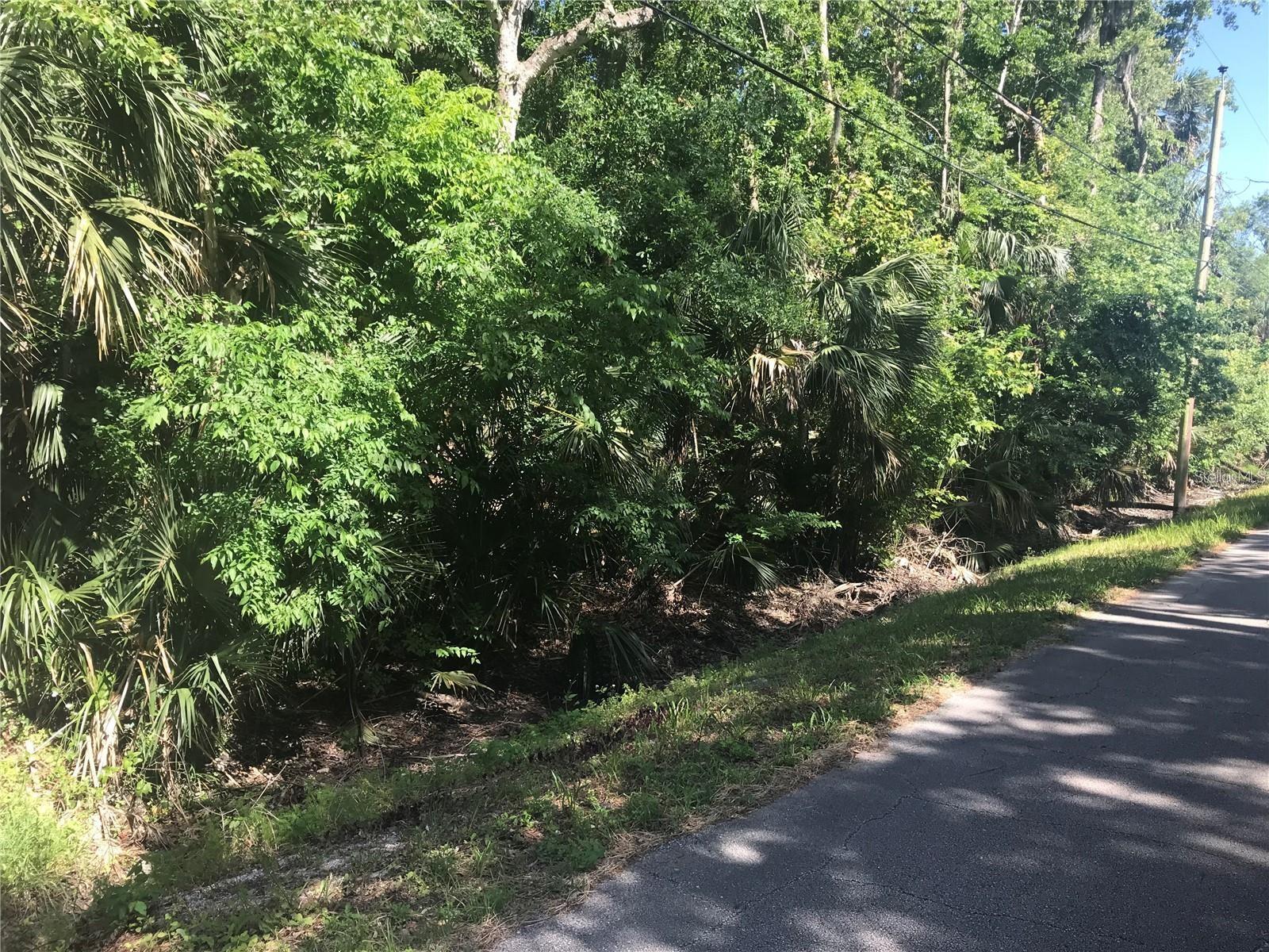 ELIZABETH ST, NEW SMYRNA BEACH, FL, 32168