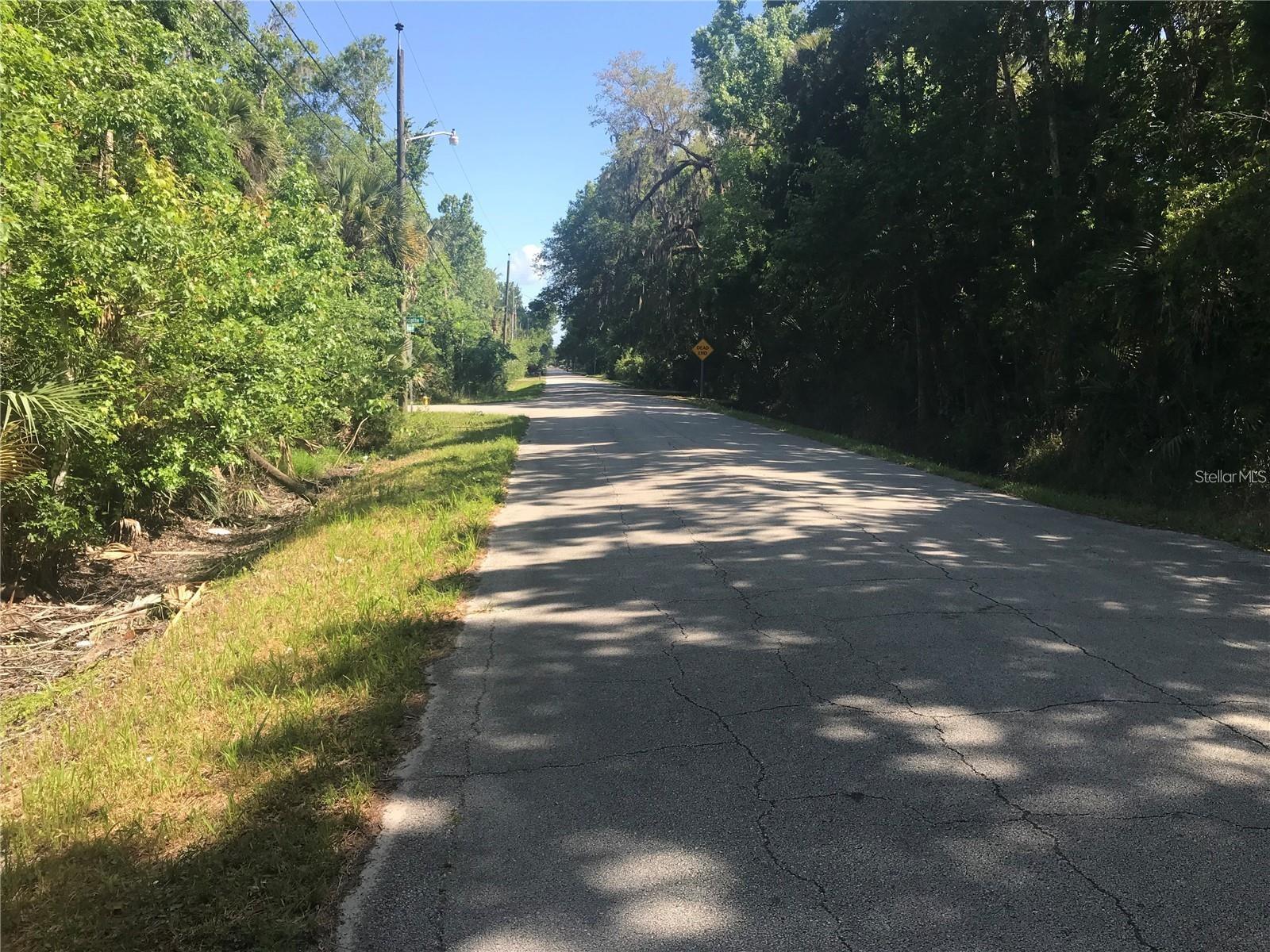 ELIZABETH ST, NEW SMYRNA BEACH, FL, 32168