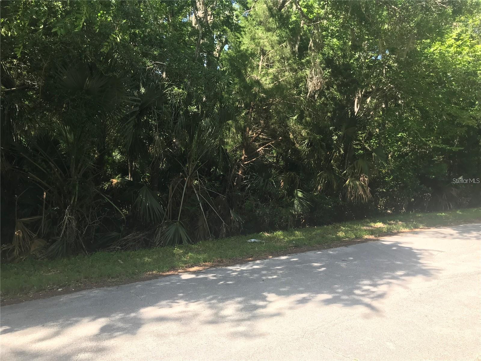 ELIZABETH ST, NEW SMYRNA BEACH, FL, 32168