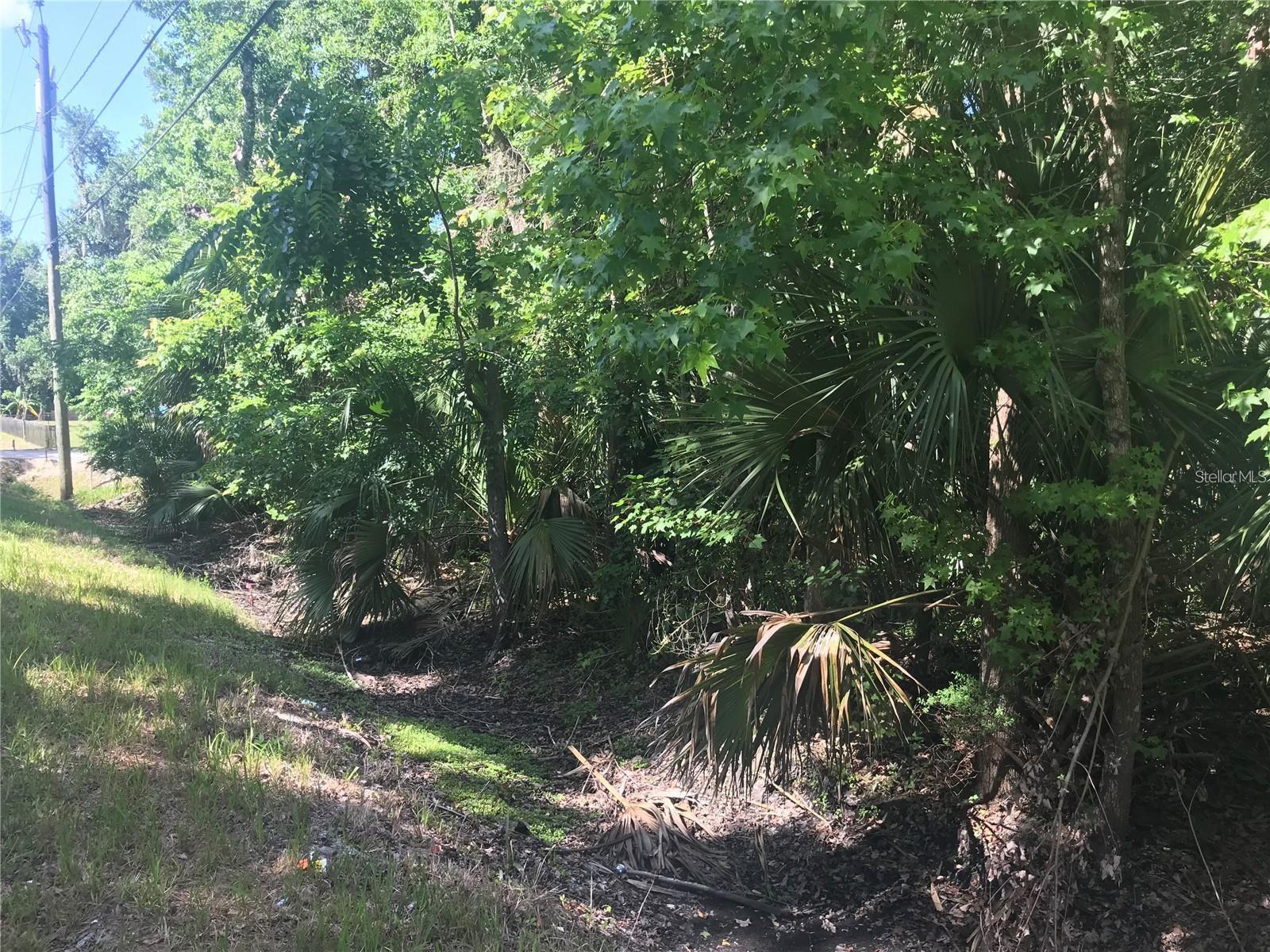 ELIZABETH ST, NEW SMYRNA BEACH, FL, 32168