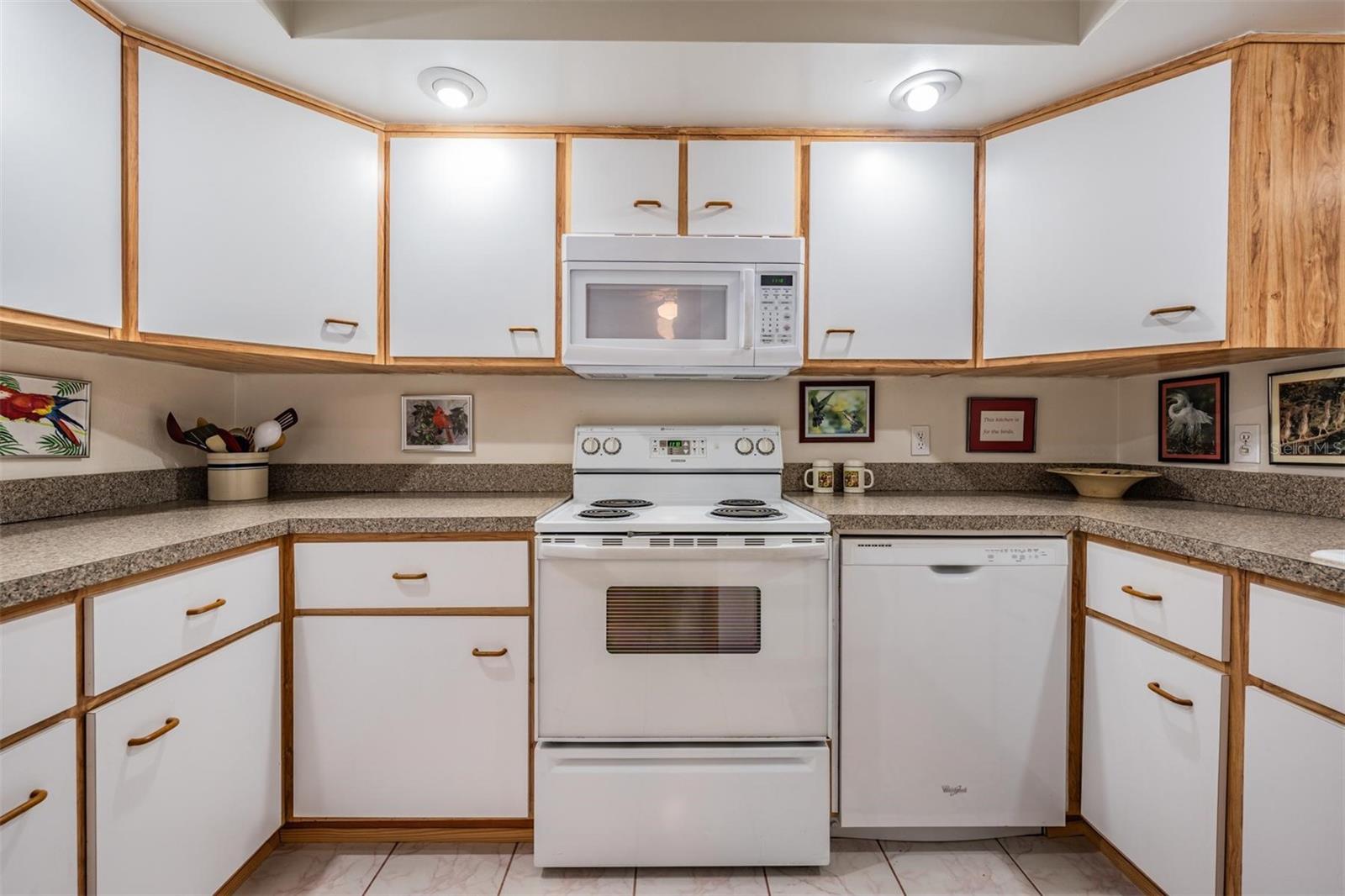 1951 JEFFORDS ST, CLEARWATER, FL, 33764