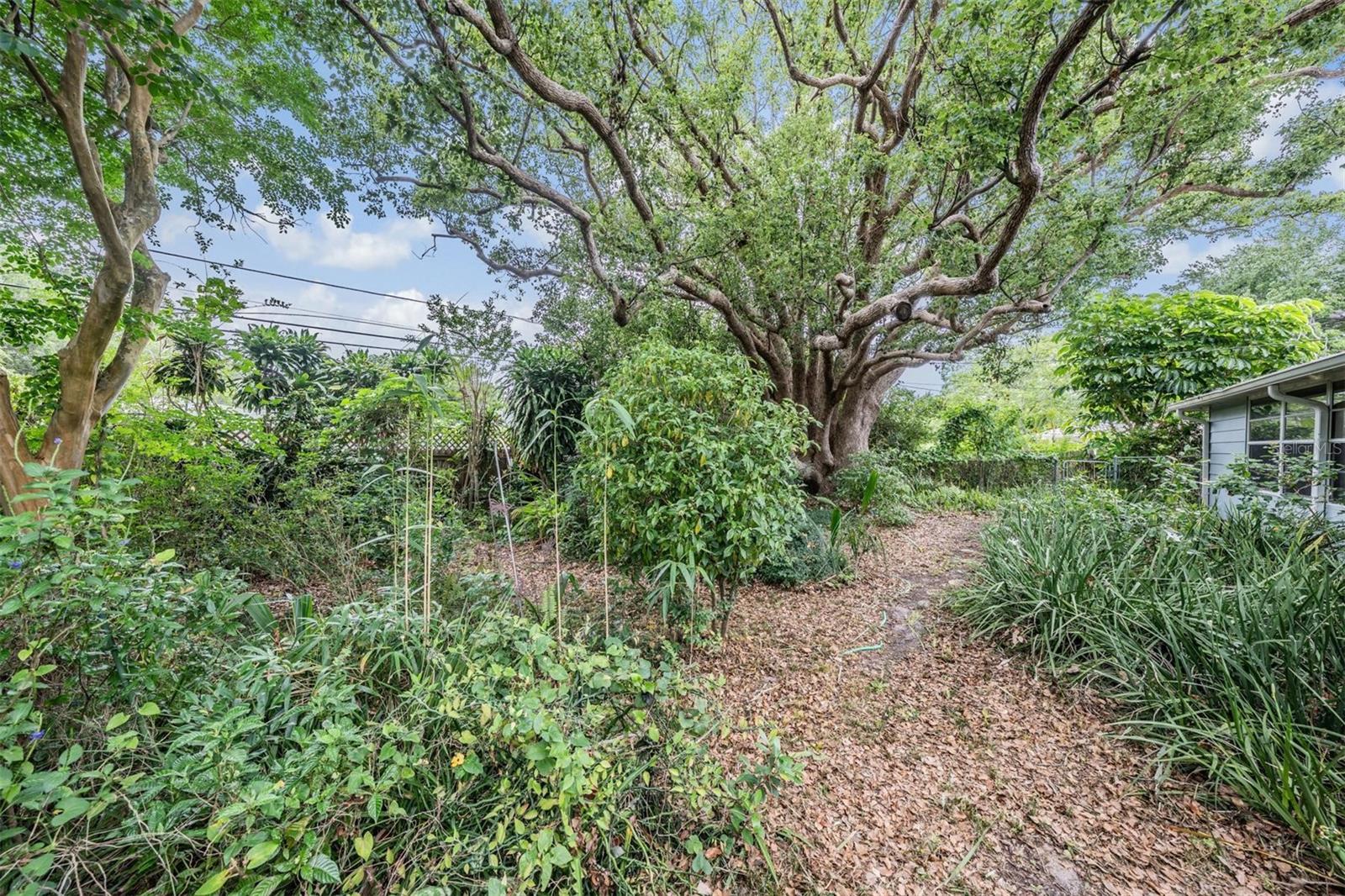 1951 JEFFORDS ST, CLEARWATER, FL, 33764