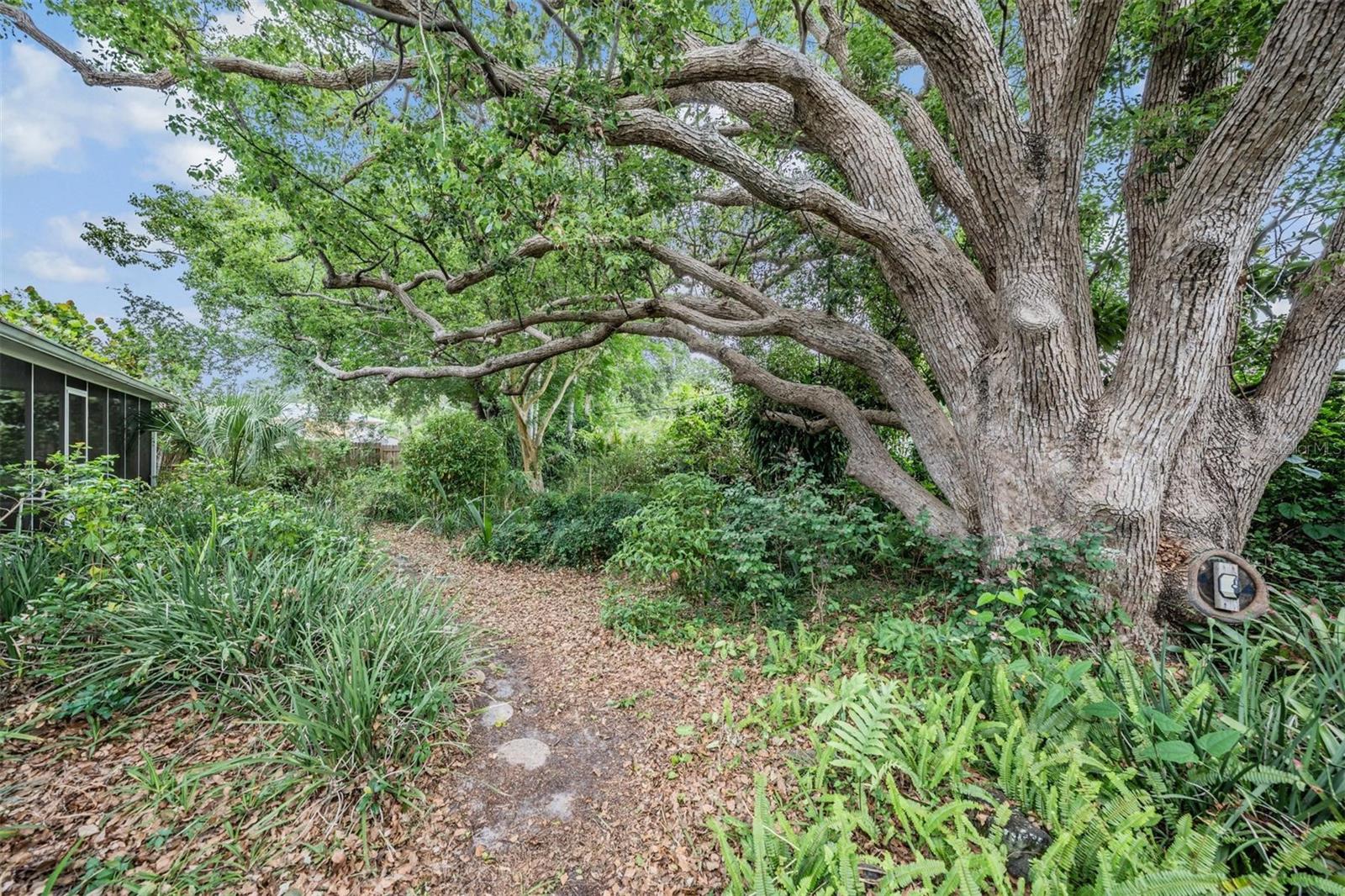 1951 JEFFORDS ST, CLEARWATER, FL, 33764