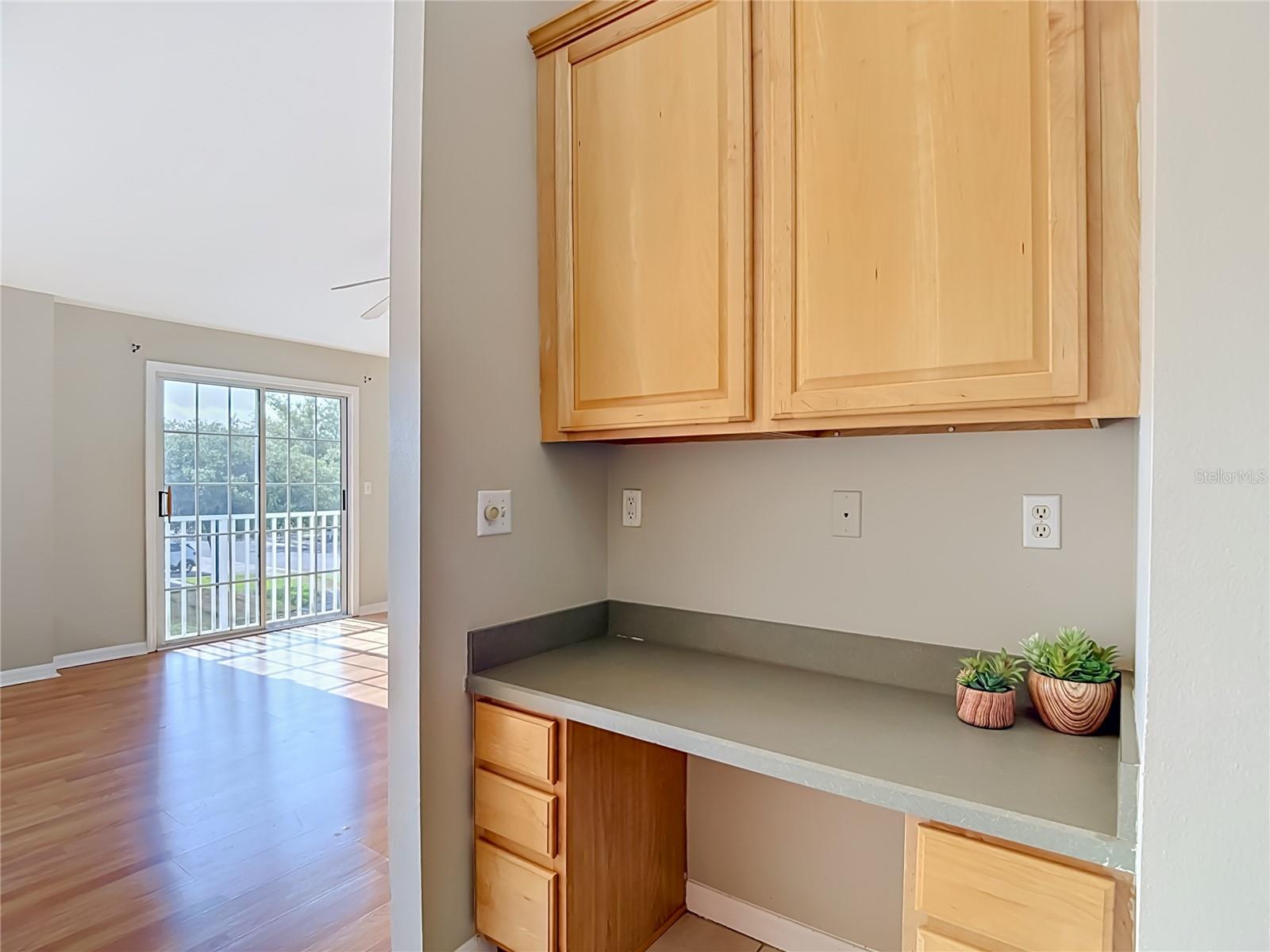 27901 PLEASURE RIDE LOOP, WESLEY CHAPEL, FL, 33544
