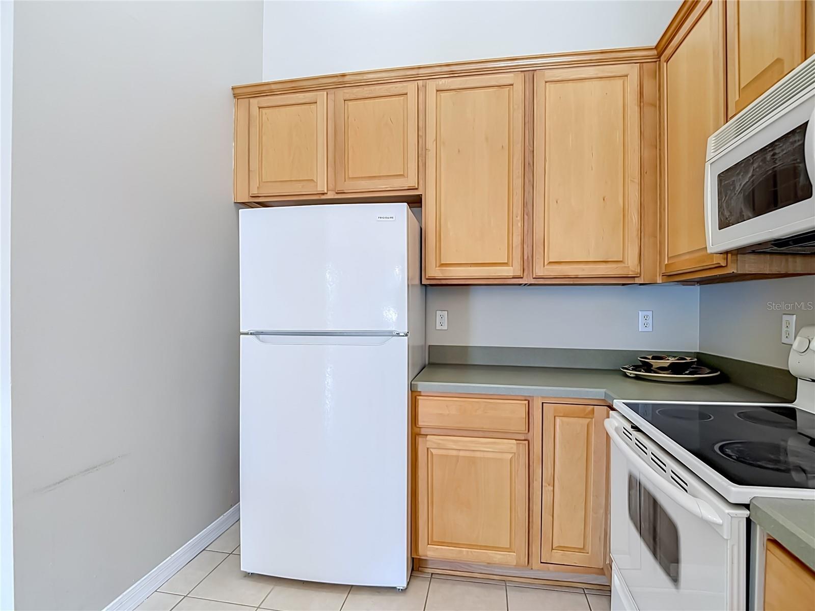 27901 PLEASURE RIDE LOOP, WESLEY CHAPEL, FL, 33544