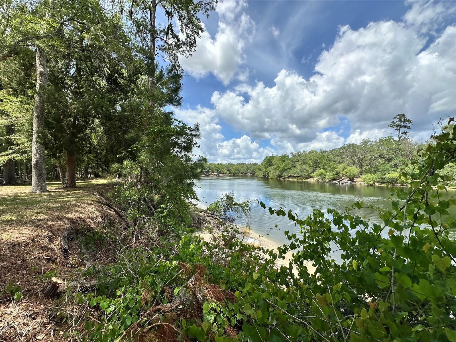 3019 NE 709TH AVE, OLD TOWN, FL, 32680