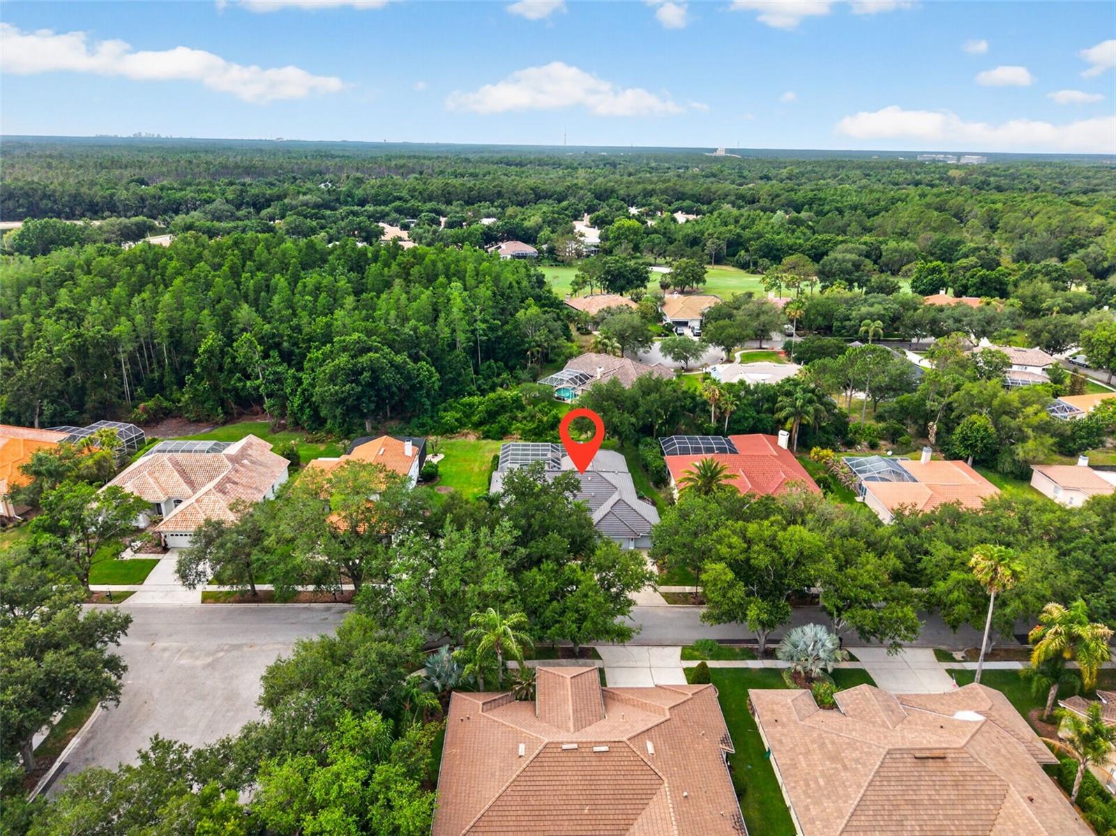 17820 OSPREY POINTE PL, TAMPA, FL, 33647