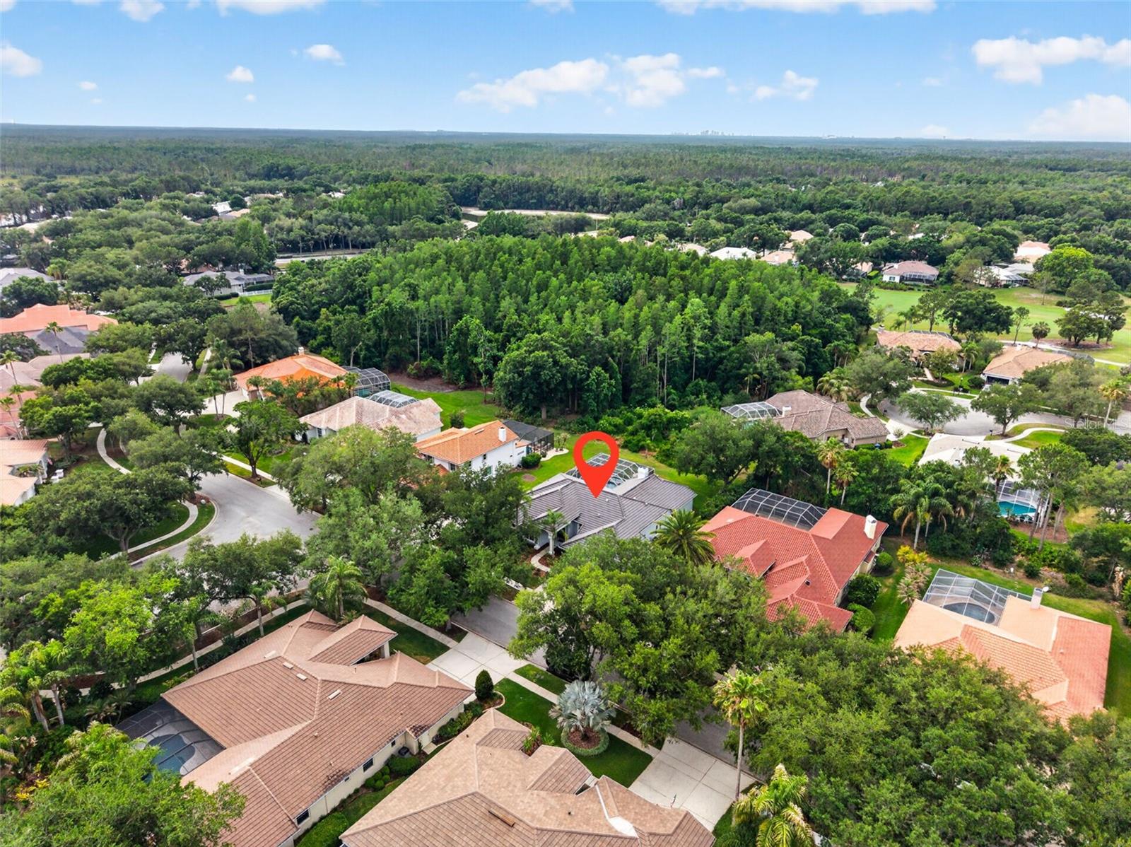 17820 OSPREY POINTE PL, TAMPA, FL, 33647