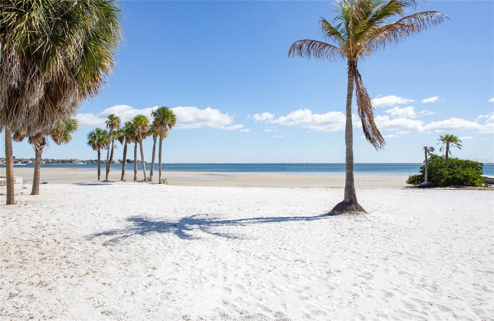 366 47TH AVE N #3, ST PETERSBURG, FL, 33703