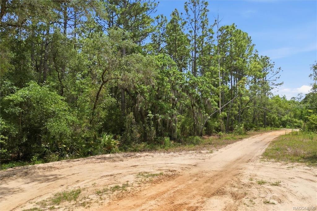 5267 N LACE PT, DUNNELLON, FL, 34433