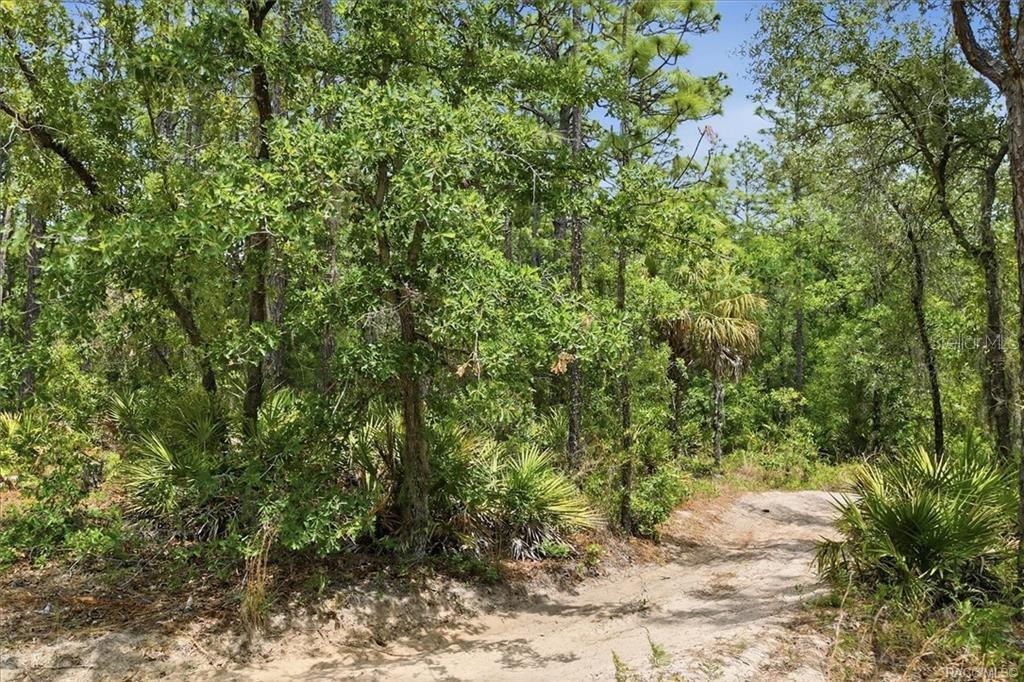 5267 N LACE PT, DUNNELLON, FL, 34433