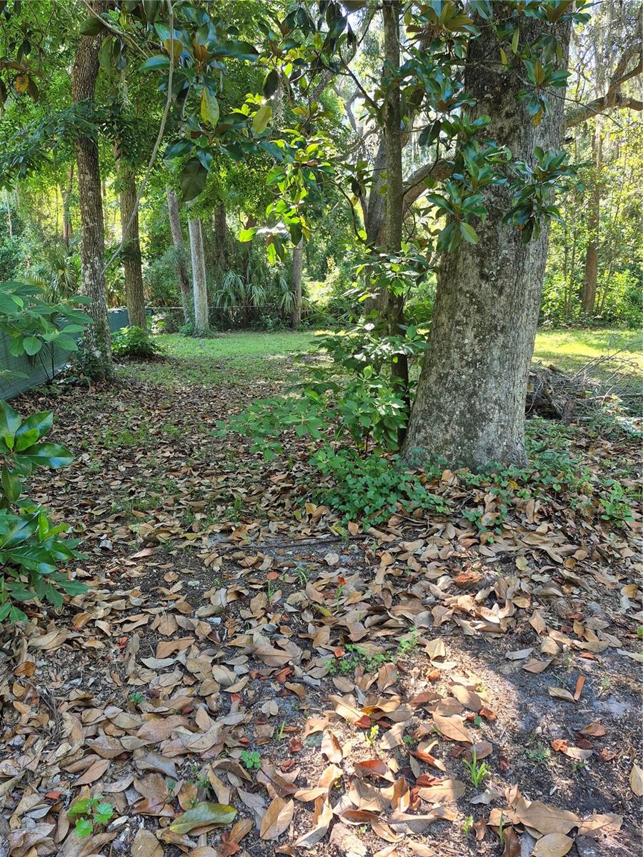 16615 NE 45TH CT, CITRA, FL, 32113