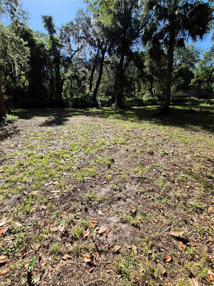 16615 NE 45TH CT, CITRA, FL, 32113