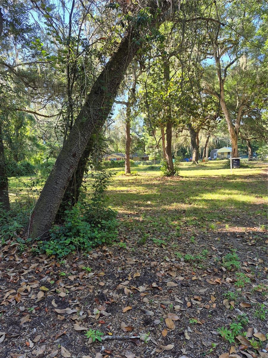 16615 NE 45TH CT, CITRA, FL, 32113