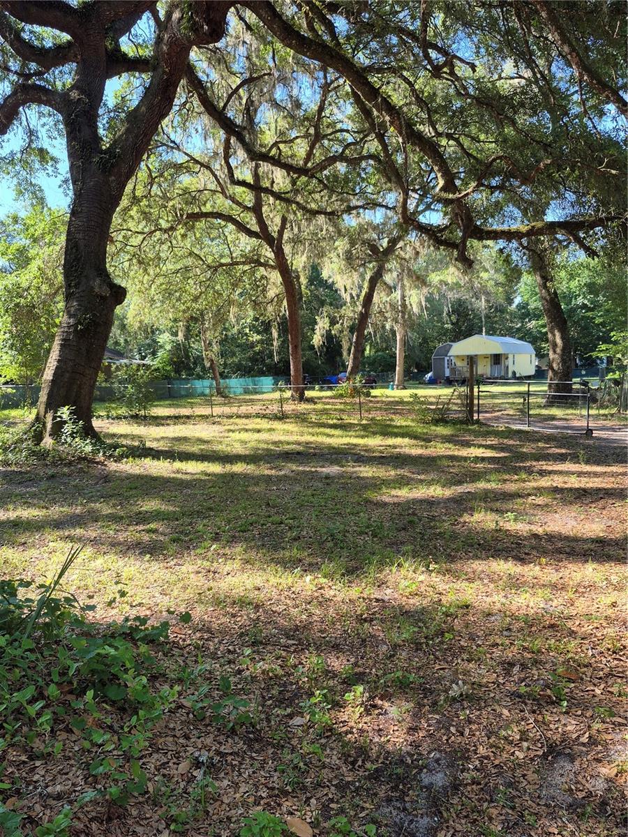 16615 NE 45TH CT, CITRA, FL, 32113