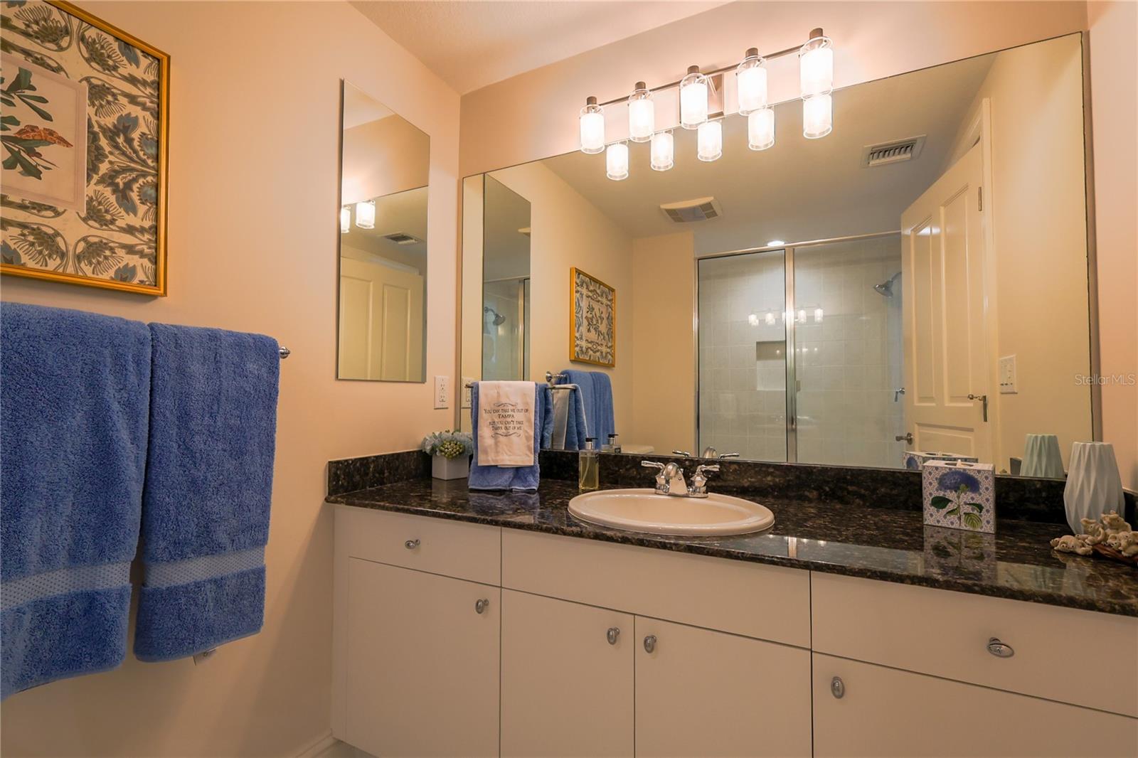 3507 BAYSHORE BLVD #701, TAMPA, FL, 33629