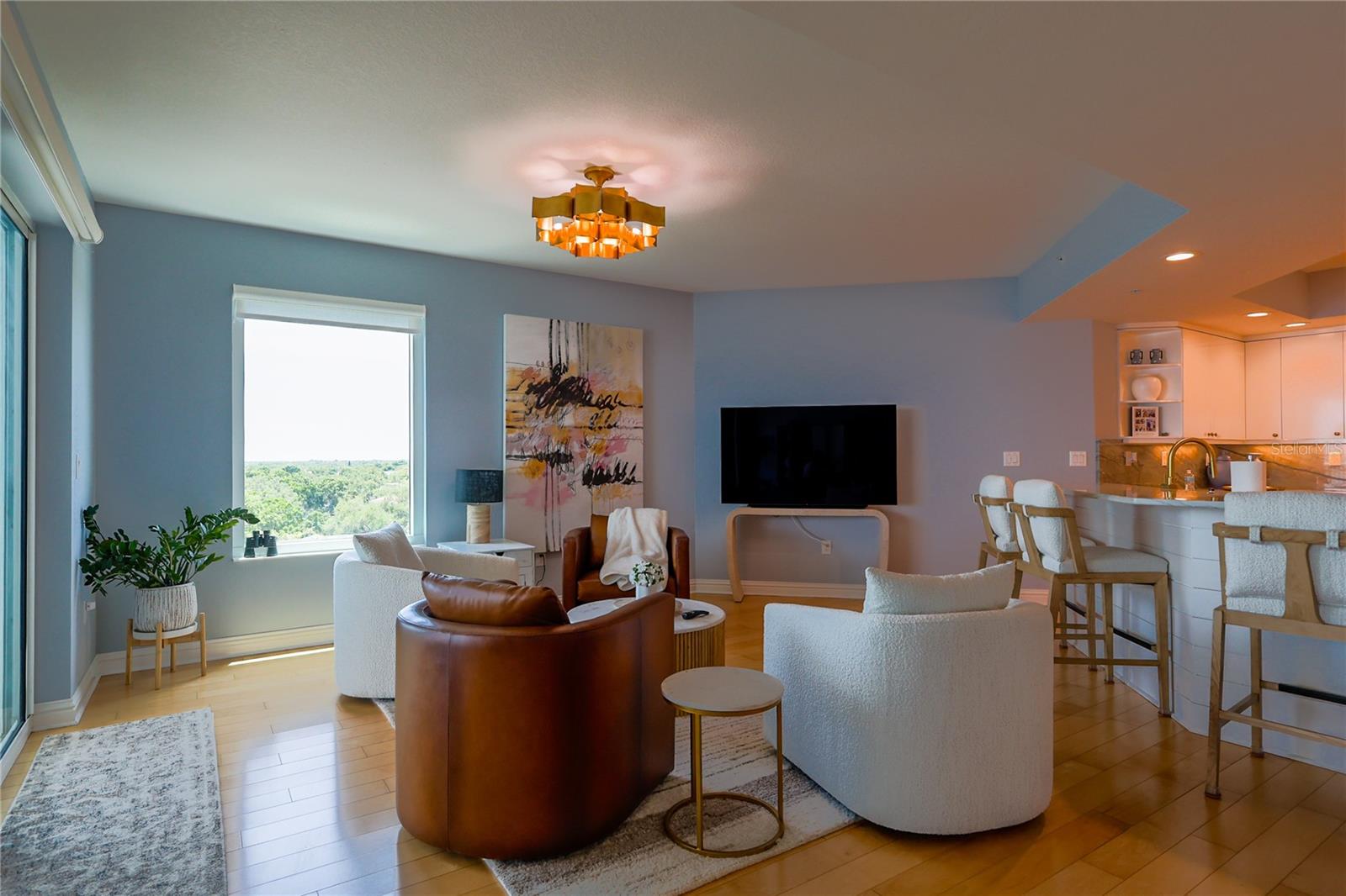 3507 BAYSHORE BLVD #701, TAMPA, FL, 33629