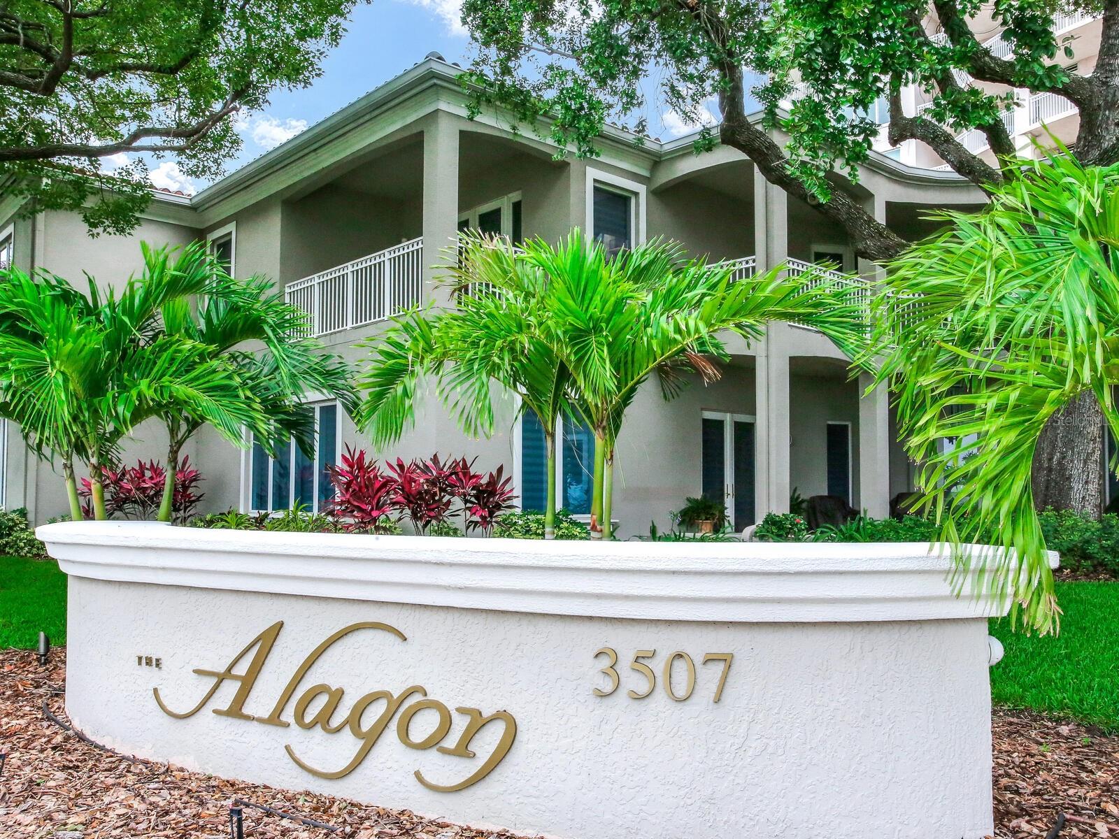 3507 BAYSHORE BLVD #701, TAMPA, FL, 33629