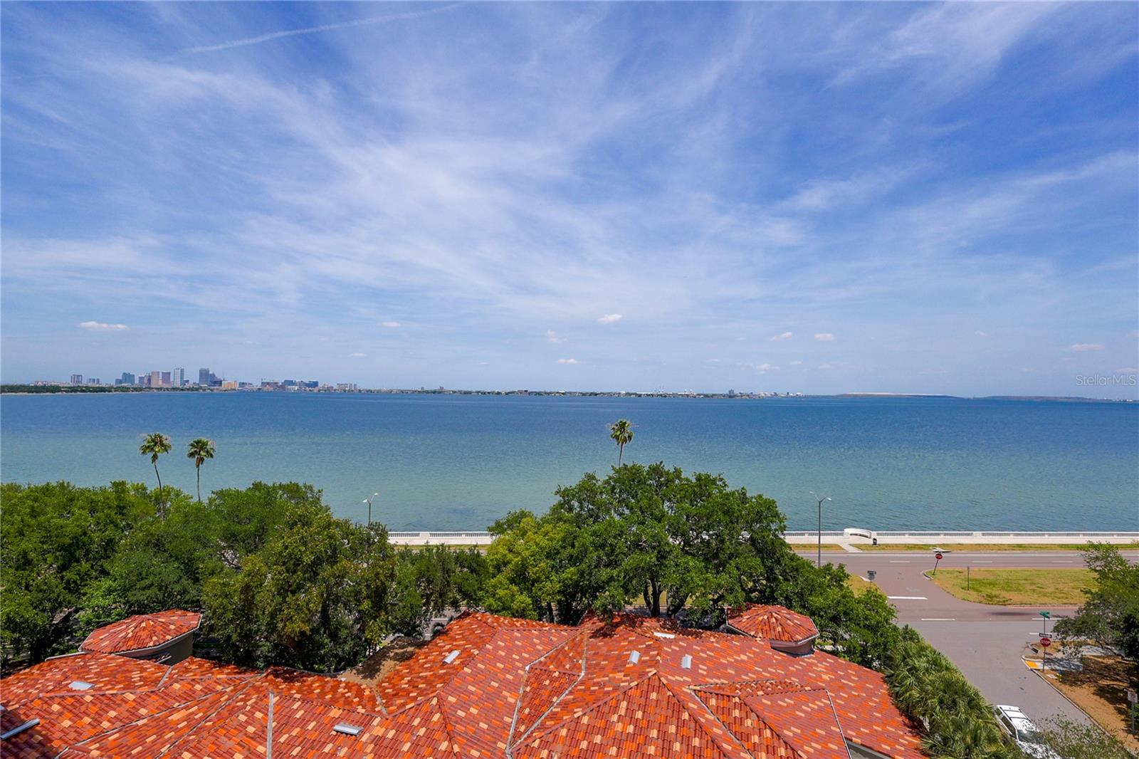 3507 BAYSHORE BLVD #701, TAMPA, FL, 33629