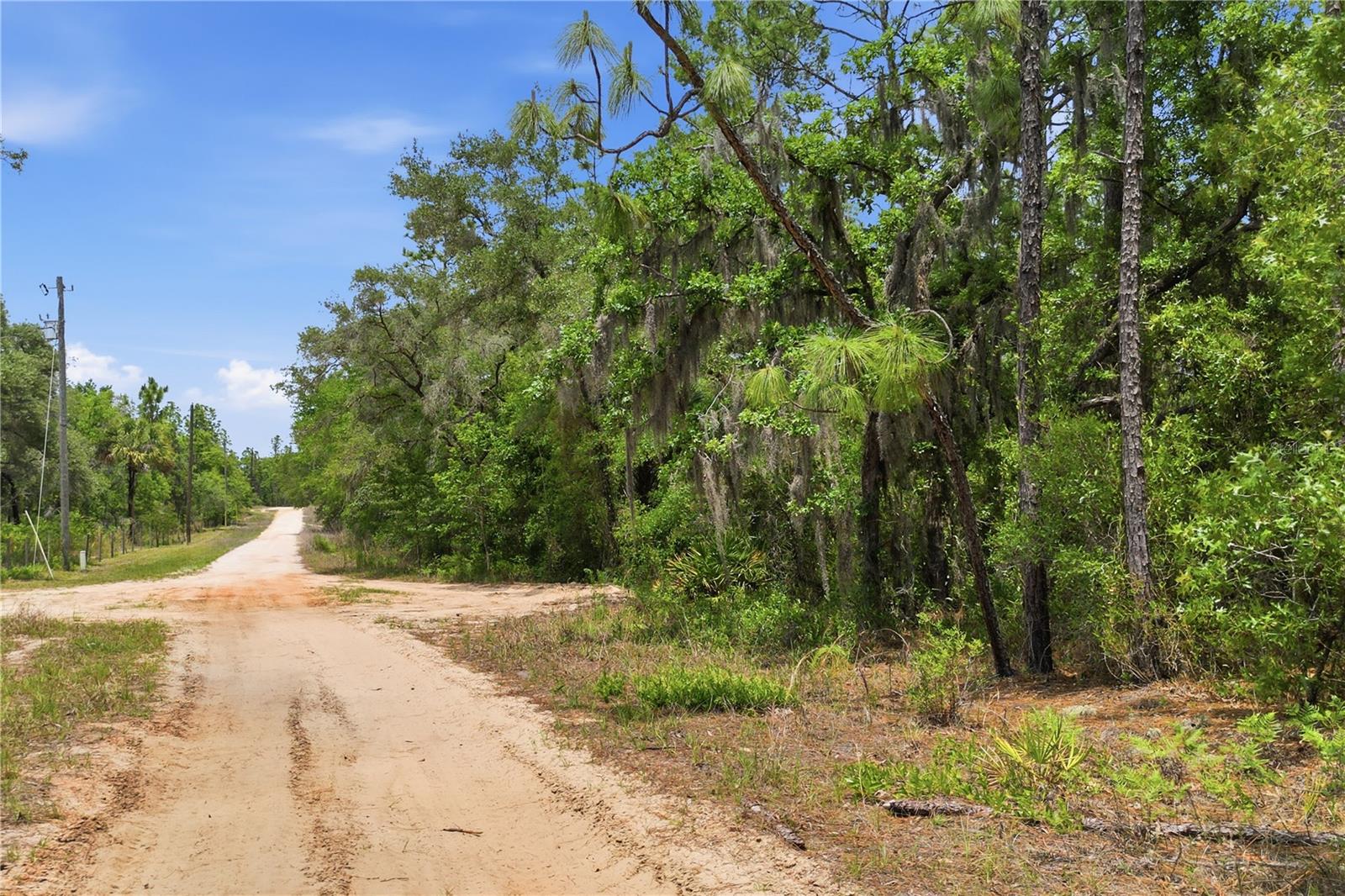 5339 N LACE PT, DUNNELLON, FL, 34433